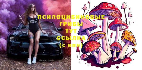 МДМА Алексеевка