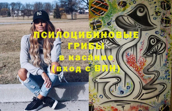 Альфа ПВП Абаза