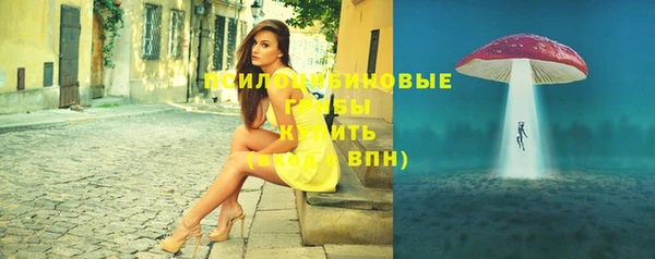 хмурый Алексин